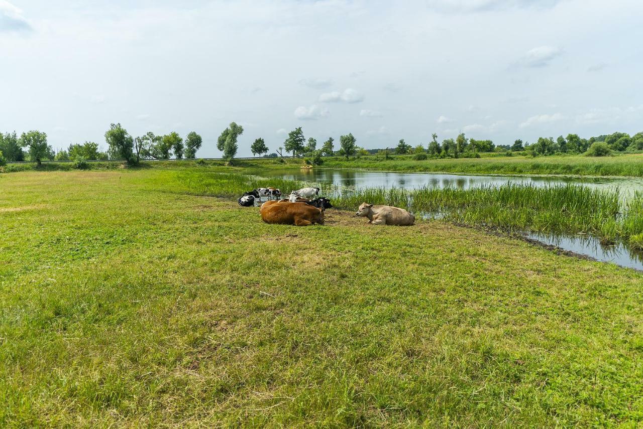 Agroturystyka Carski Trakt Wizna Extérieur photo